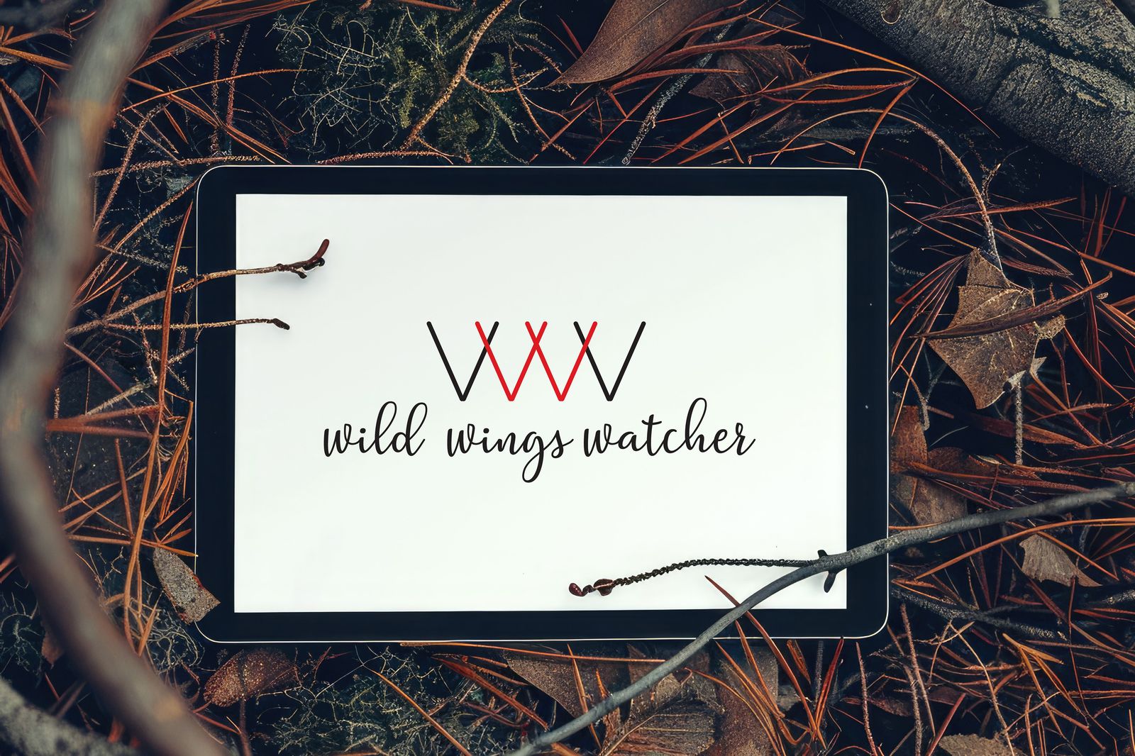 Wild Wings Watcher Wildlife Photography Brand Identity